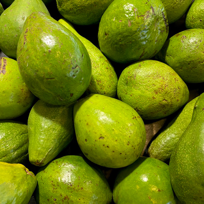 

Buah Alpukat Mentega 1kg