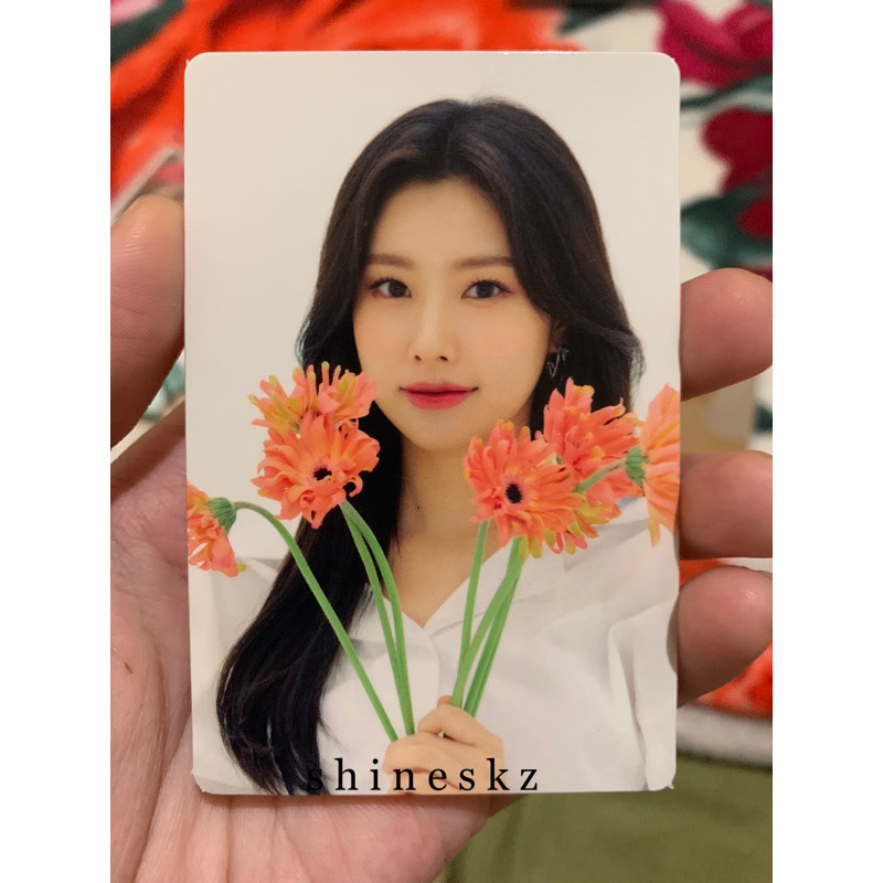 Photocard Hyewon Izone Official