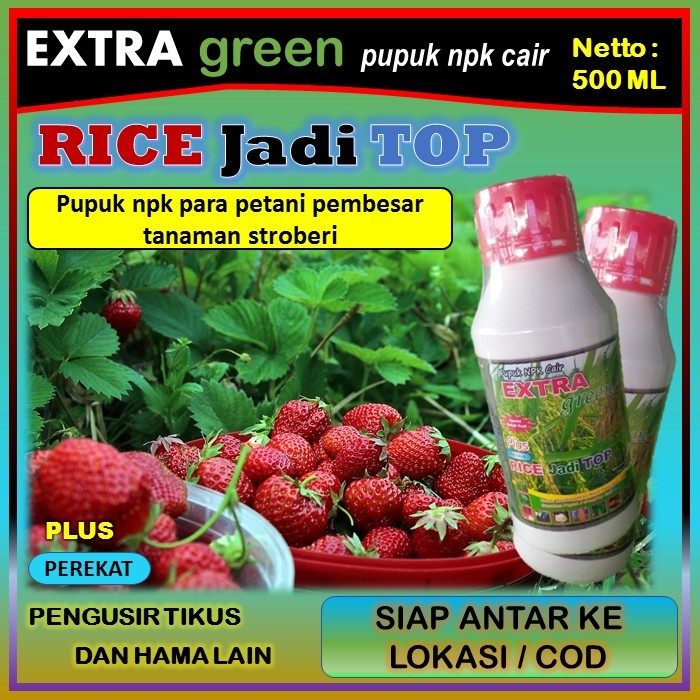 Pupuk tanaman stroberi npk cair lengkap ( EKTRA GREEN RICE jadi TOP ) 500 ml - pupuk penyubur tanama