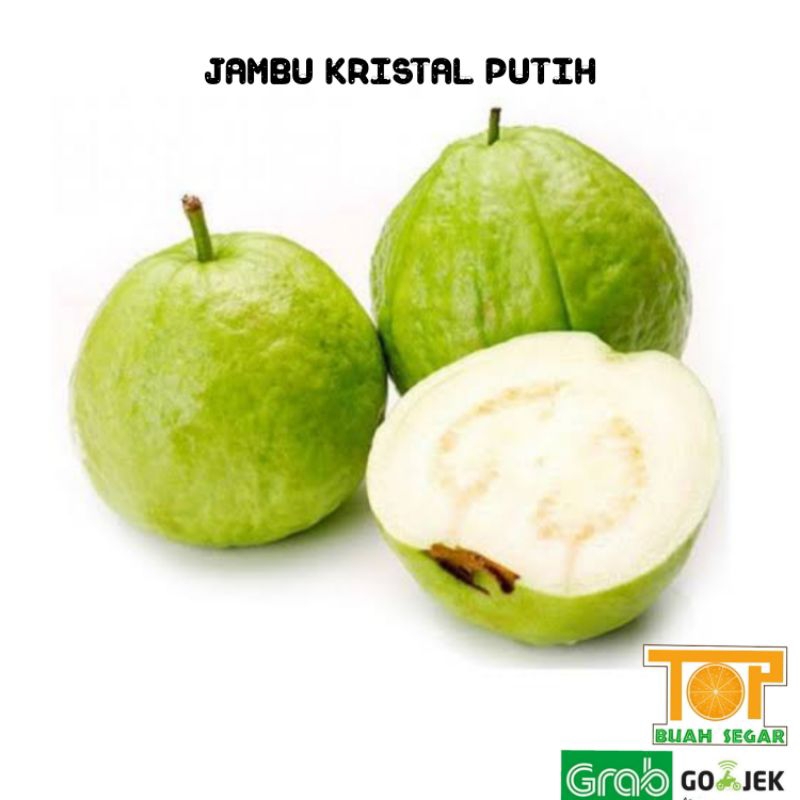 

Jambu Kristal Putih 1kg fresh manis ( Buah jambu kristal) Karomah buah