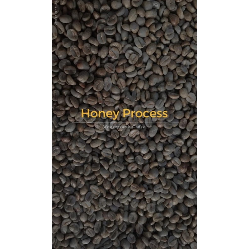 

Arabica Green Beans - Honey Specialty 1kg