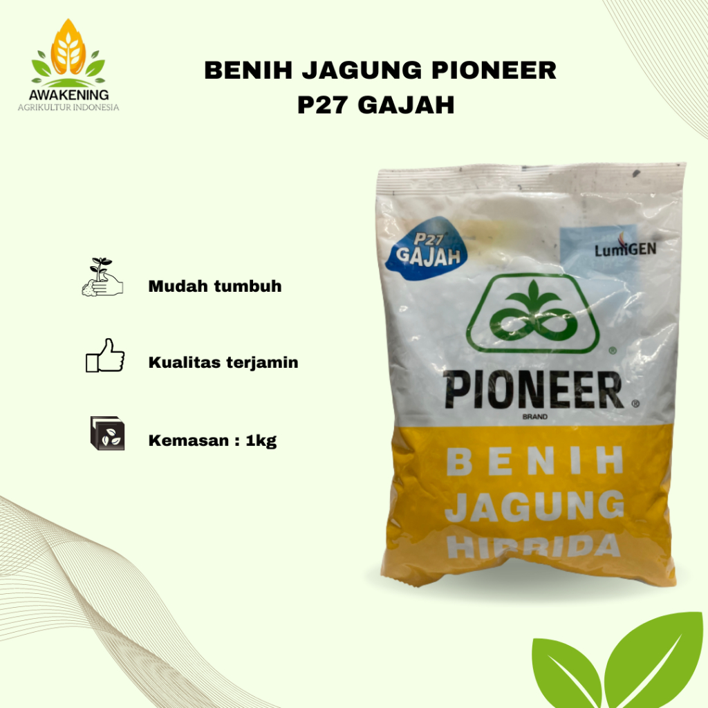 BENIH JAGUNG HIBRIDA PIONEER P27 GAJAH LUMIGEN 1KG