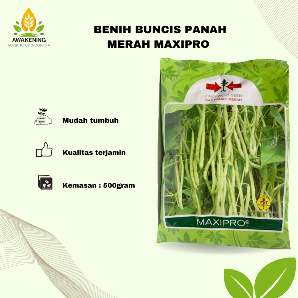 BENIH BUNCIS MAXIPRO 500GR PANAH MERAH
