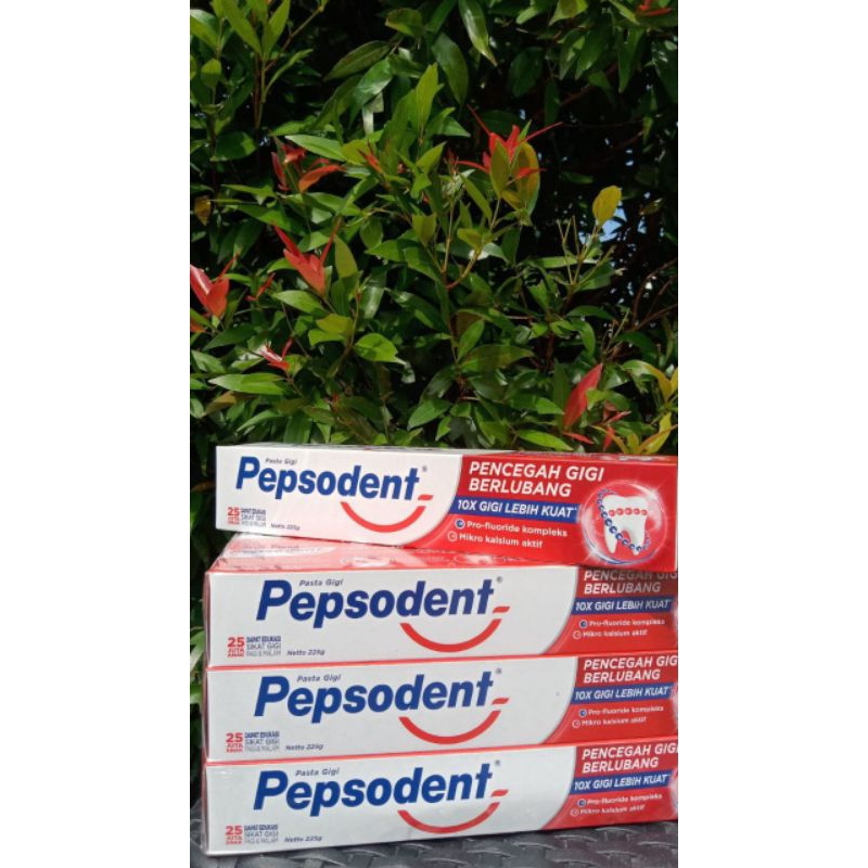 PEPSODENT  225 gram