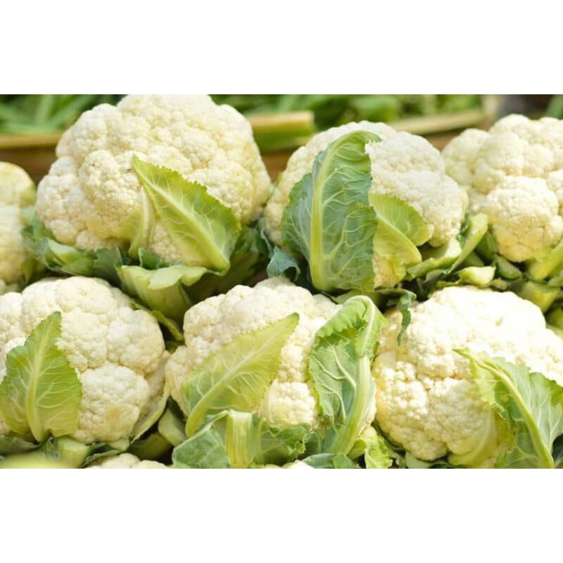 

Sayur Bunga Kol 250 gram Kembang Bungkul Segar Fresh Instan