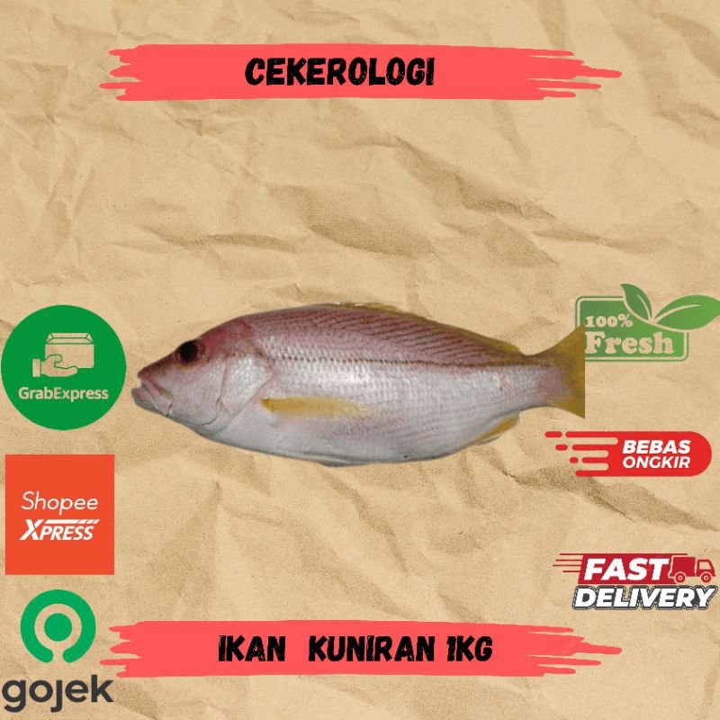 

Ikan Kuniran 1kg / Ikan Kuniran / Ikan Kuniran / Fresh Berkualitas / JABODETABEK / Ikan Segar / Ikan