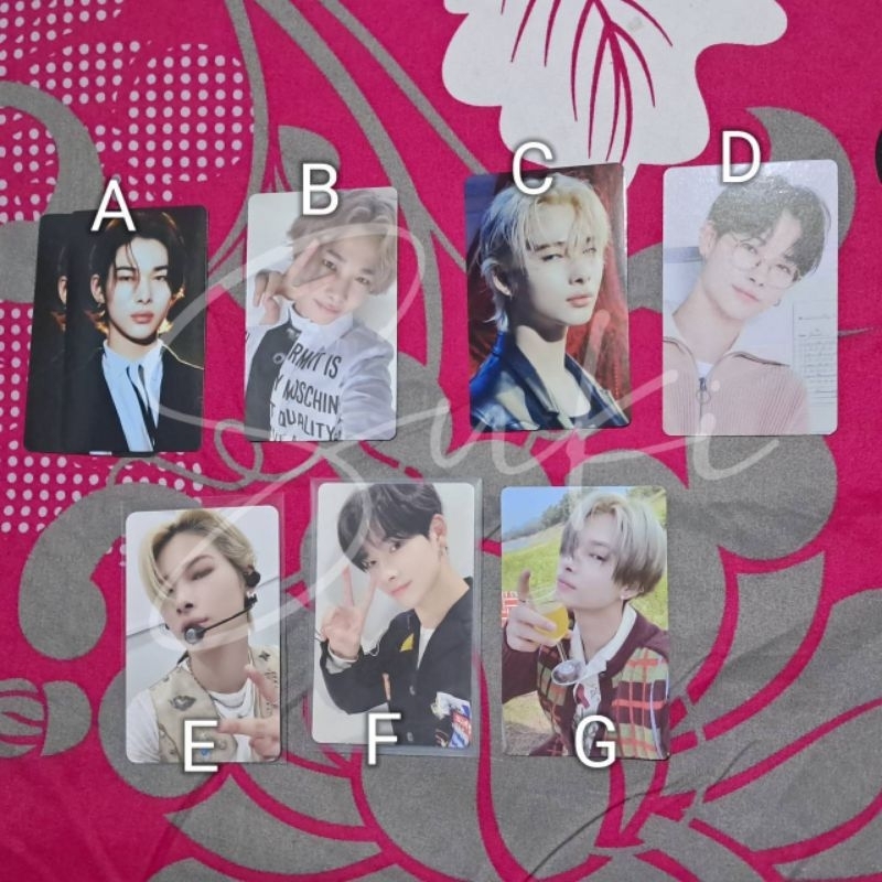 ENHYPEN NIKI OFFICIAL PHOTOCARD