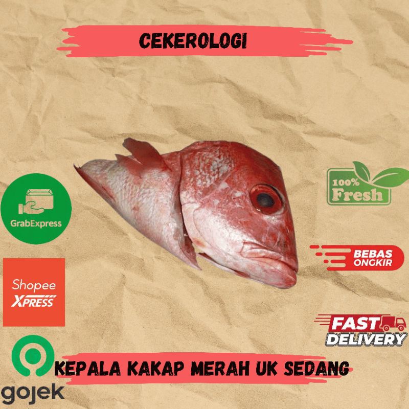 

Kepala Kakap Merah Uk Sedang 1pcs / Kepala Kakap Merah / Kepala Kakap Merah Fresh Berkualitas / JABODETABEK / Kepala Kakap / Ikan Segar / Ikan