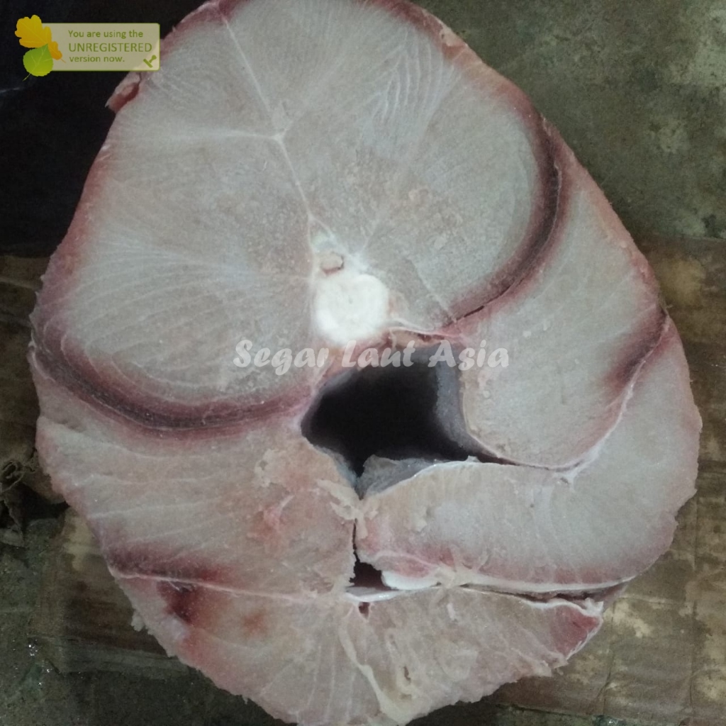 

Ikan Cucut Fillet Daging Ikan Hiu Segar 1Kg