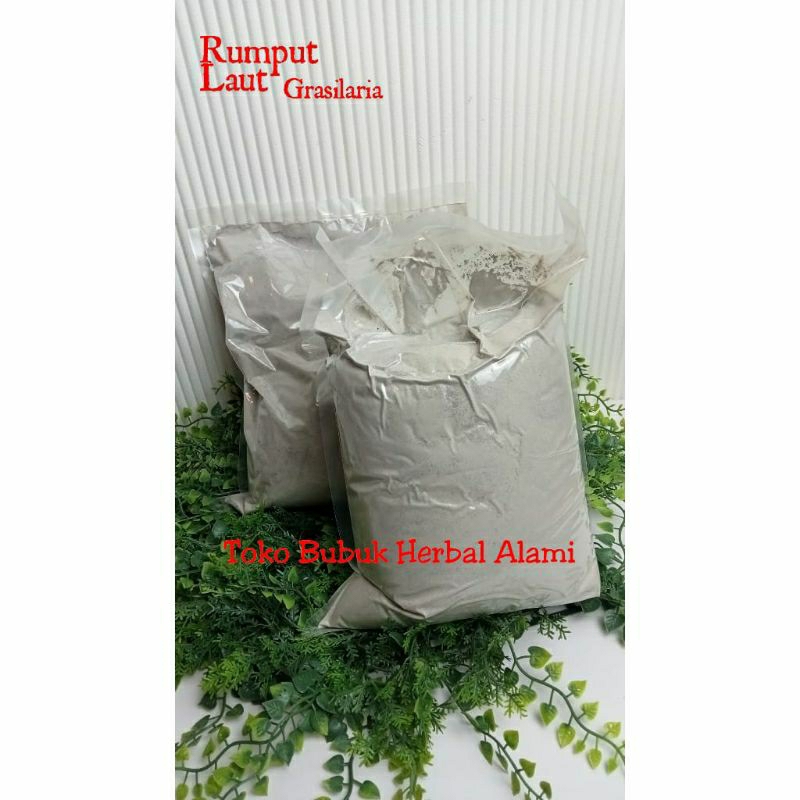 

TEPUNG RUMPUT LAUT GRACILARIA SP BUBUK 25gr