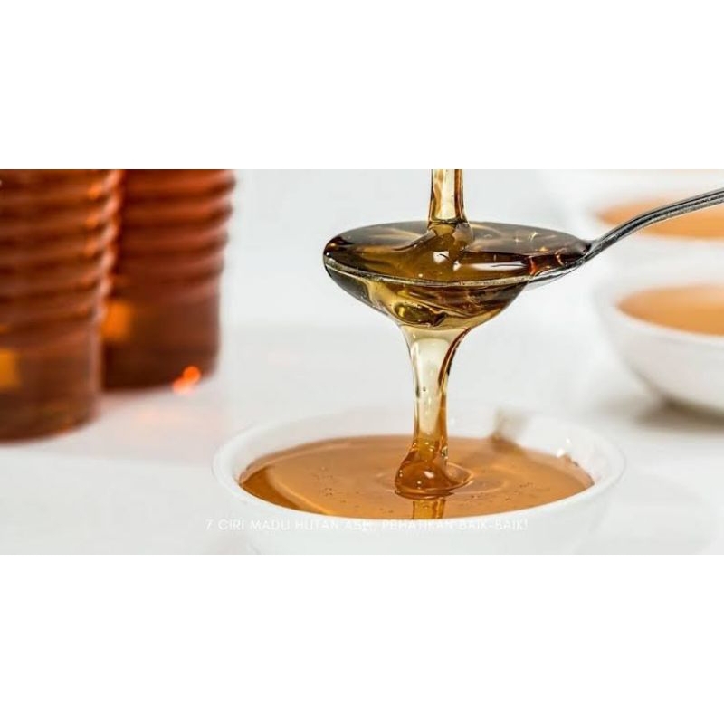

Madu Hutan Asli Original