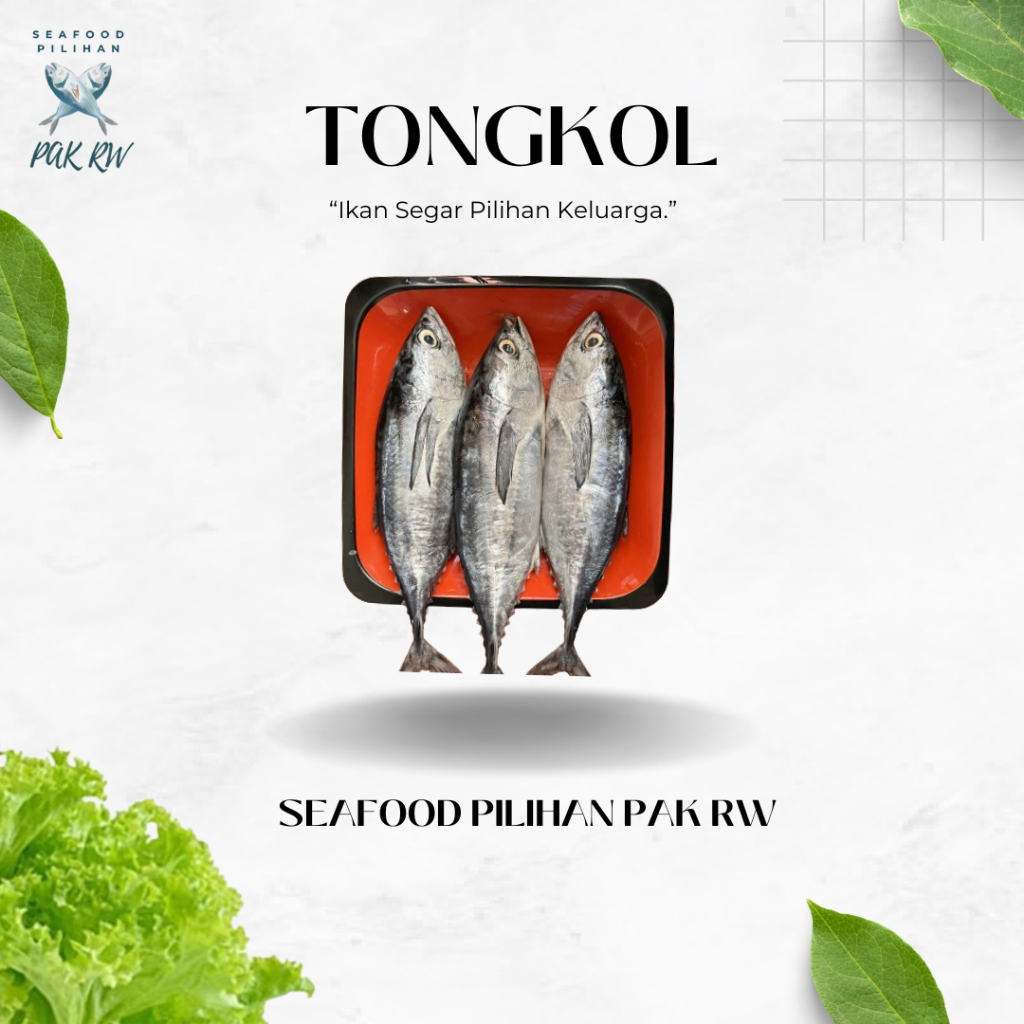 

Ikan Tongkol