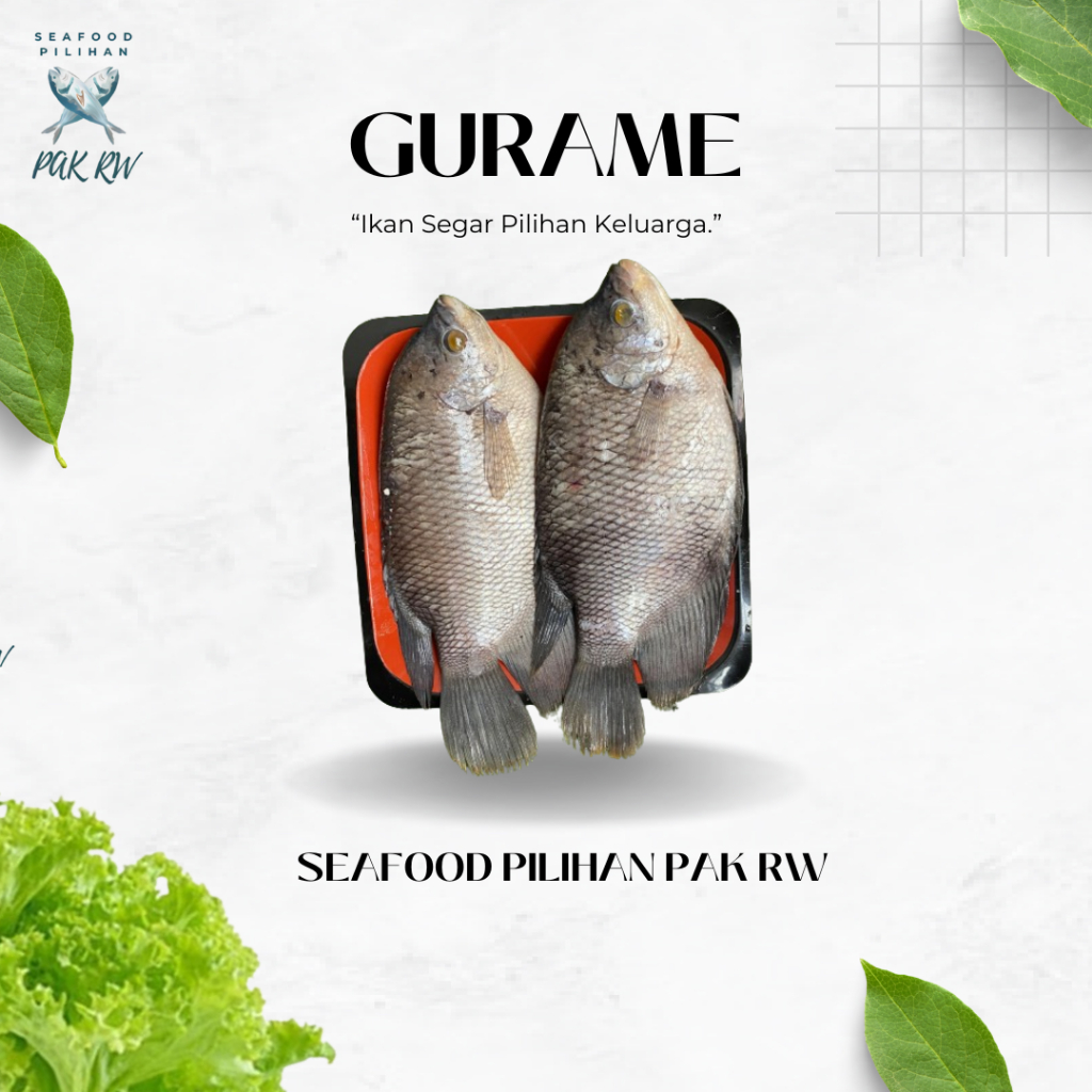 

Ikan Gurame