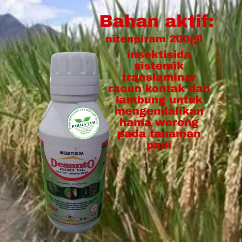 DESANTO/insektisida/ nitenpiram/hama wereng/desanto 250ml/wereng coklat/wereng hijau