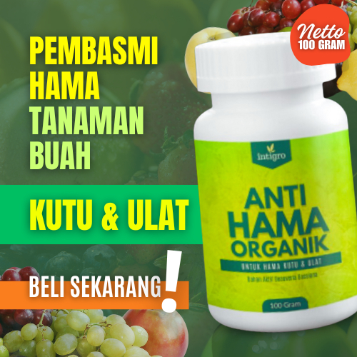 Pembasmi Hama Kutu Ulat dan Lalat Buah Pestisida Organik untuk Tanaman Buah