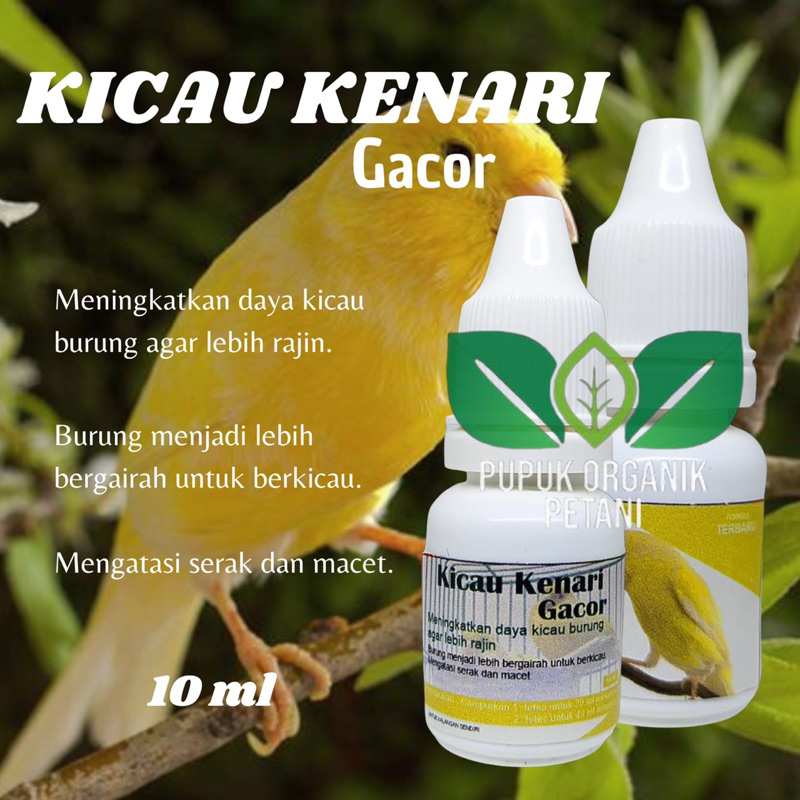 Vitamin burung kenari meningkatkan tambah suara gacor kemasan 10 ml
