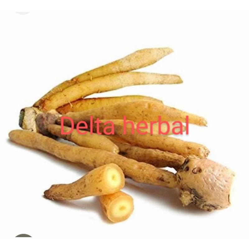 

Temu kunci