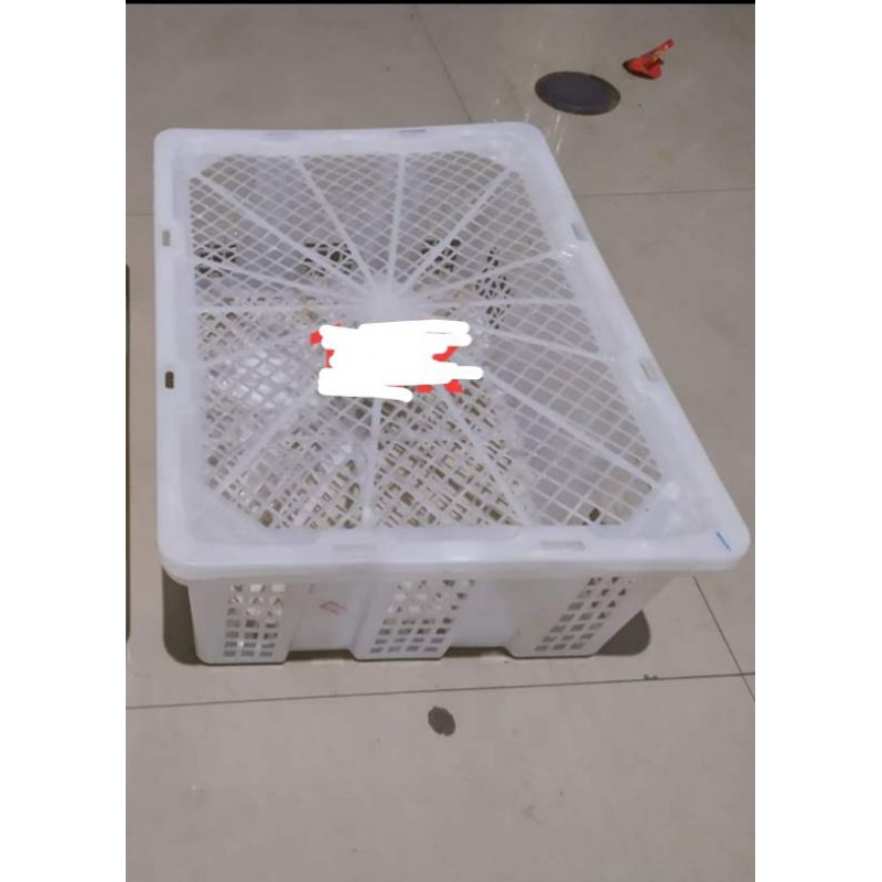 keranjang buah Lengkeng kotak BEKAS RASA BARU,keranjang Serba guna,Bahan tebal dan kokoh