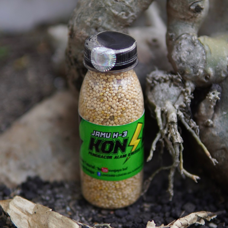 

Jamu H-3 Kecil (100 gr)