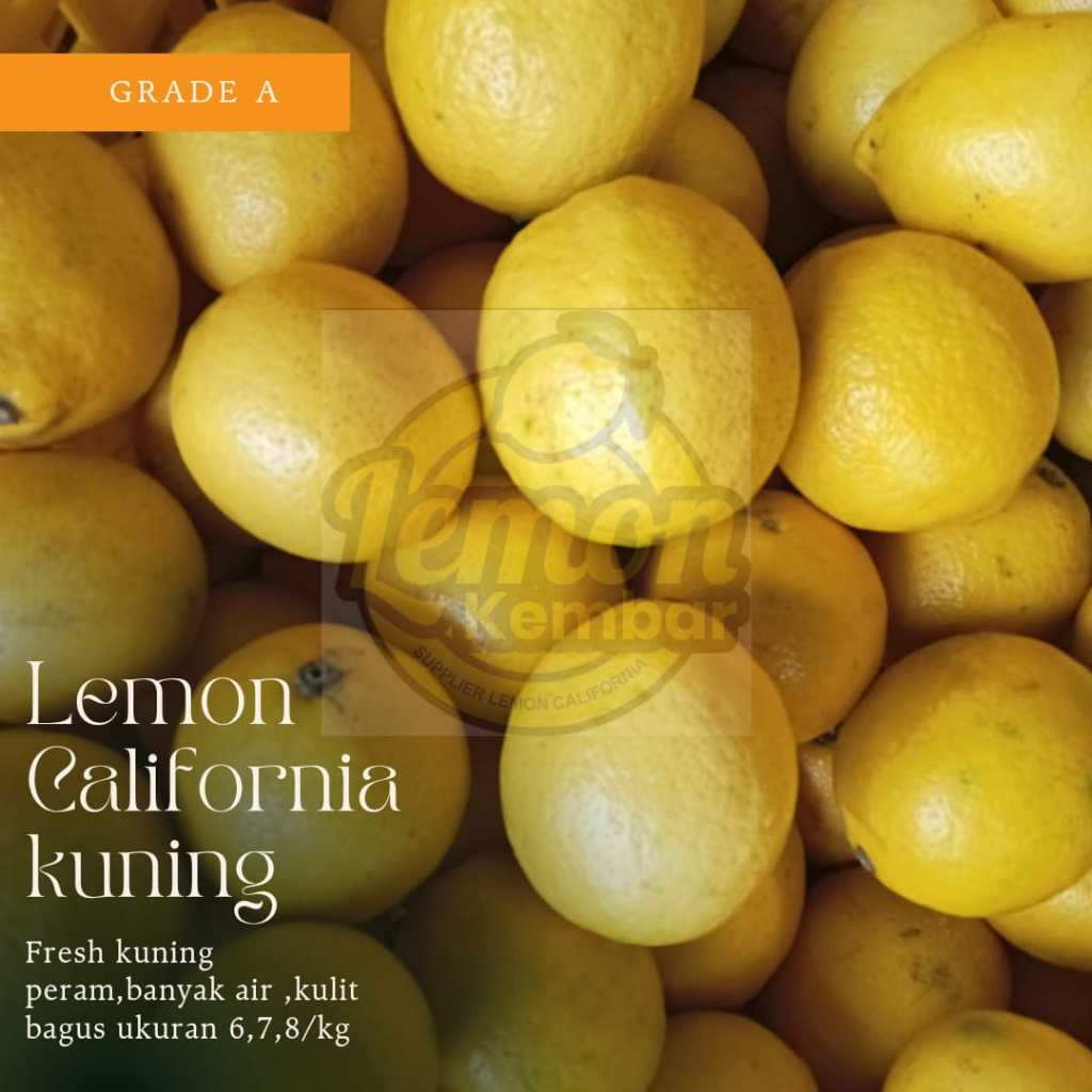 

JERUK LEMON CALIFORNIA GRADE ABC 1KG / JERUK LEMON SUPER / LEMON CALIFORNIA /LEMON ASLI