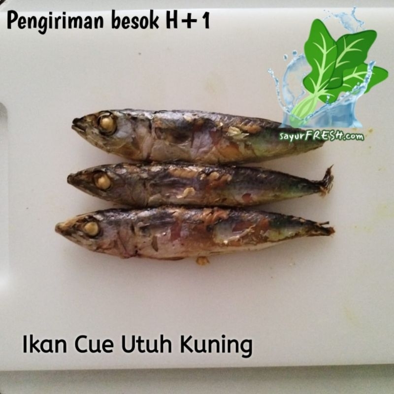 

Tongkol pindang utuh