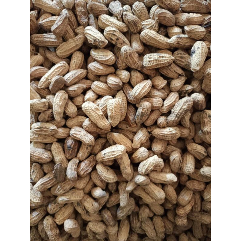 

Kacang Goreng Bendo 2.5kg