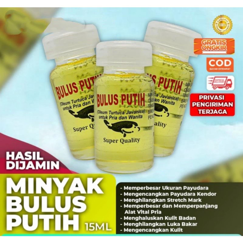 (PRIVASI) MINYAK BULUS PUTIH ASLI
