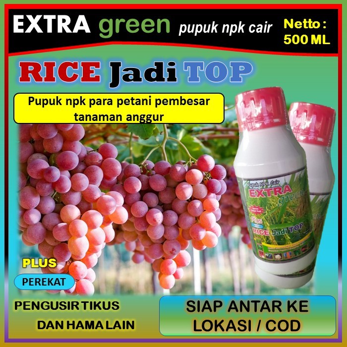 Pupuk tanaman anggur npk cair lengkap ( EKTRA GREEN RICE jadi TOP ) 500 ml - pupuk penyubur tanaman 