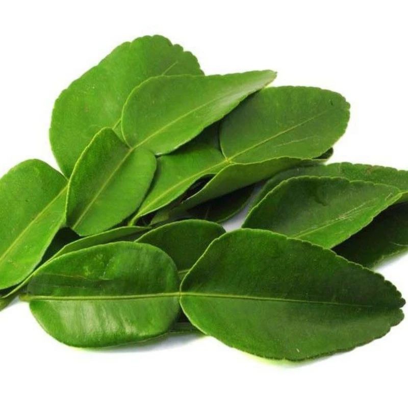 

Daun jeruk purut segar 250gr