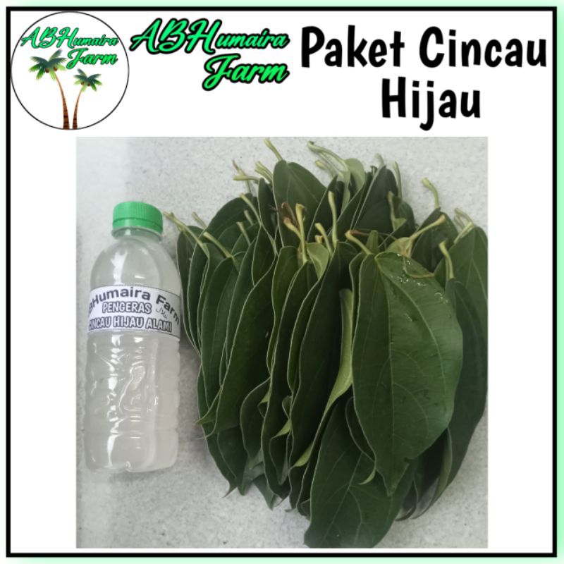 

Daun Cincau Hijau Paket Cincau Hijau Dan Tutorial 200gr Daun Cincau Dan 250ML Air Pengeras Cincau Alami
