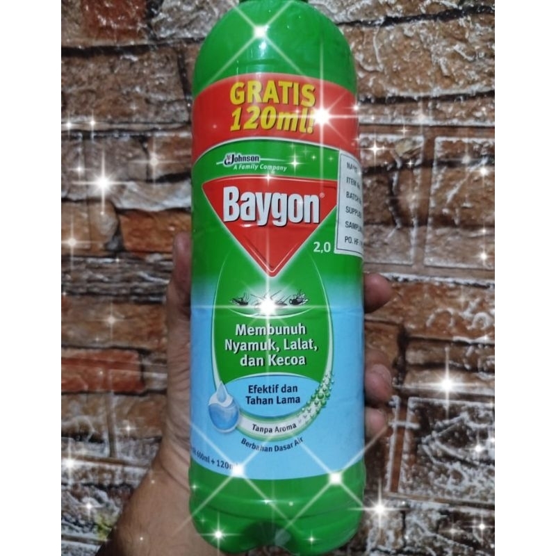 BAYGON MEMBUNUH NYAMUK,LALAT & KECOA netto 600ml+120ml