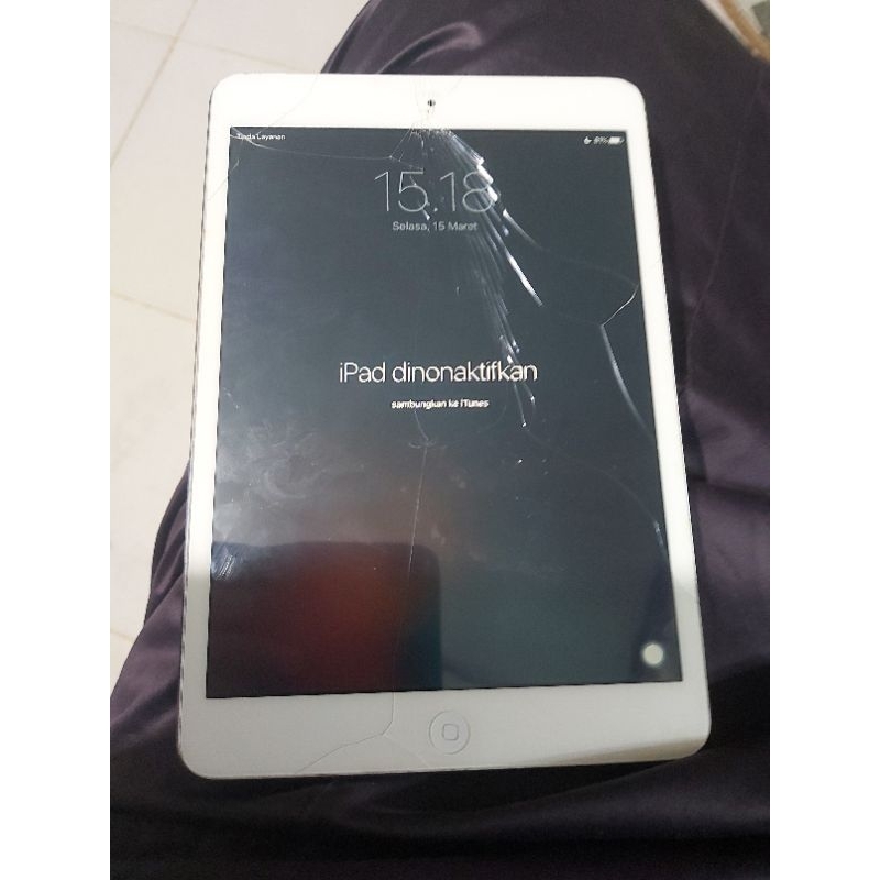 ipad mini 1 minus ter kunci