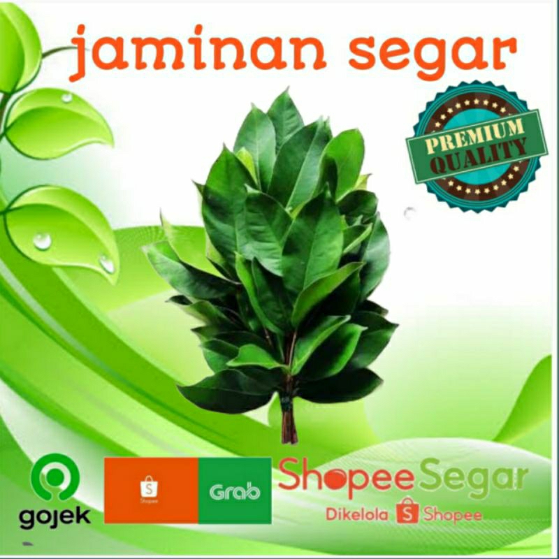 

daun salam perbungkus