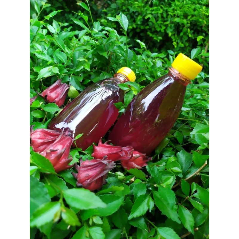 

Sirup Rosella Merah 350ml organik alami Dari kebun sendiri dan di olah sendiri