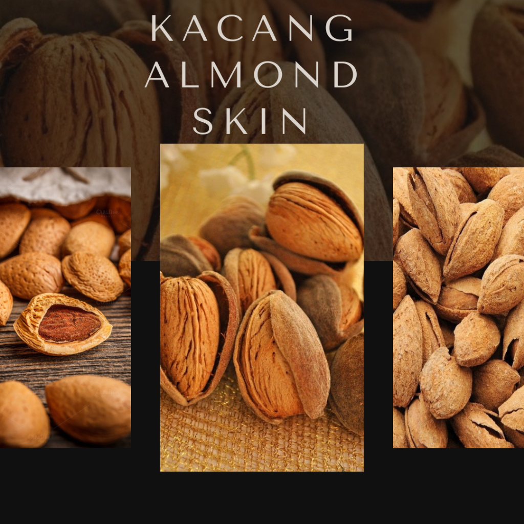 

ALMOND SKIN ROASTED | KACANG ALMOND KULIT | ALMOND SKIN | ALMOND | KACANG ALMOND SUSU | ROASTED SKIN