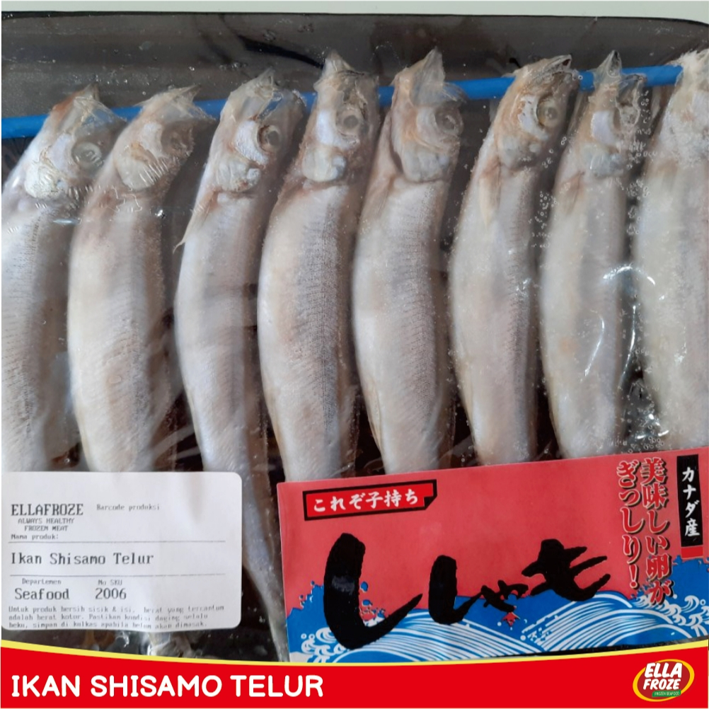 

Ikan Shisamo Telur