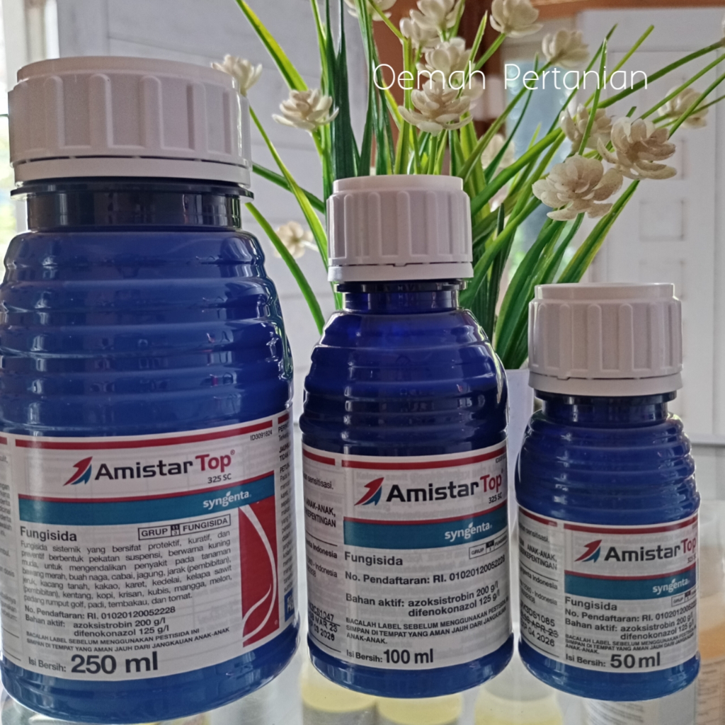 Amistar Top, fungisida untuk meningkatkan bobot tanaman padi, umbi dan buah