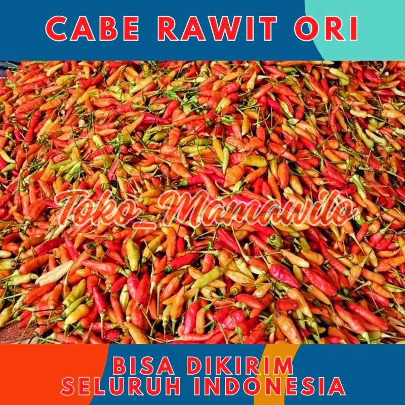 Cabe Rawit Cabai Merah Kiloan Murah Lombok Segar Frash 1kg 1 kg - Aneka Bumbu Dapur Sayur Sayuran