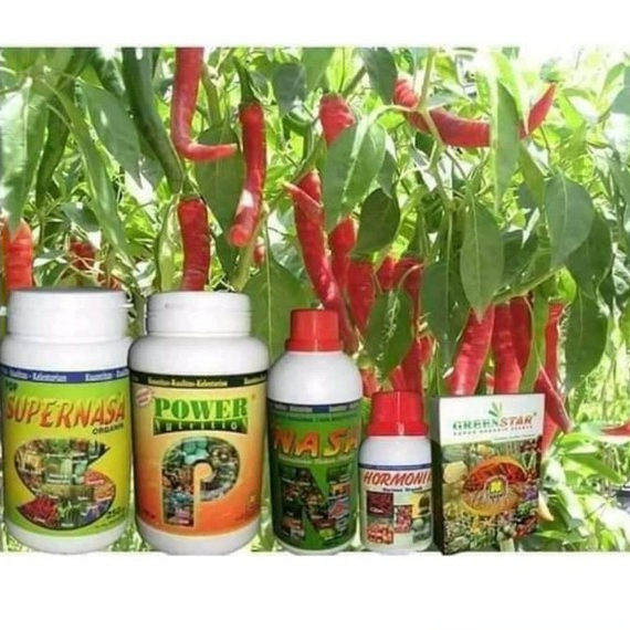 PAKET PUPUK BUDIDAYA KHUSUS CABE - PAKET PUPUK CABE NASA - PUPUK PENYUBUR TANAMAN CABE - PUPUK PELEB