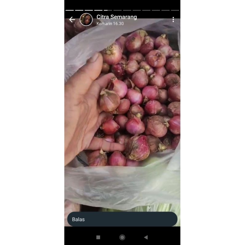 

bawang merah 1kg