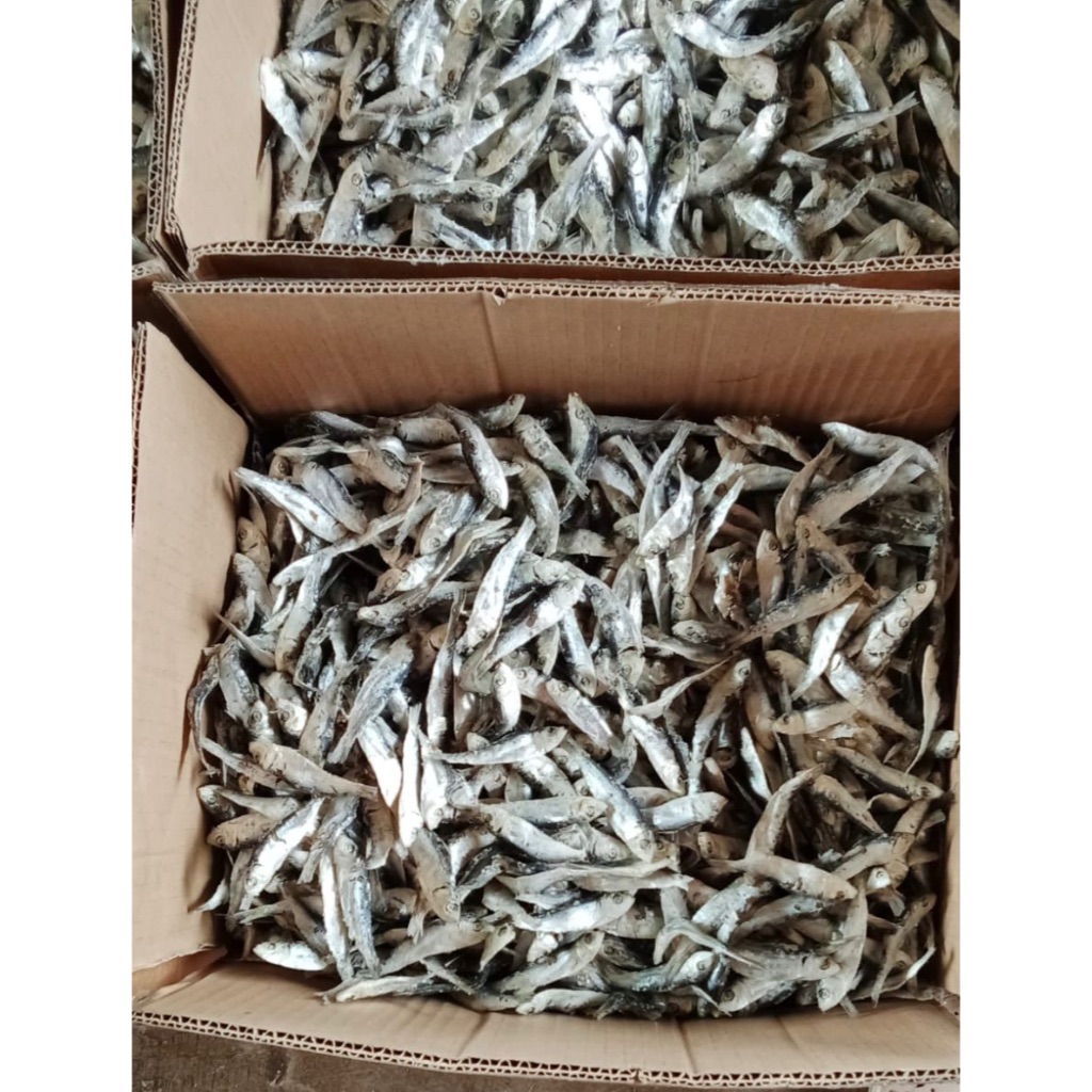 

Ikan Asin Lemet Rebus Halus | Ikan Asin | Tembang