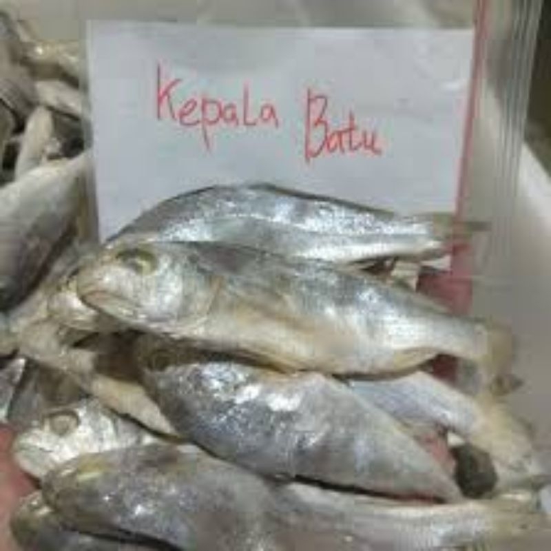 

Ikan asin kepala batu 100g