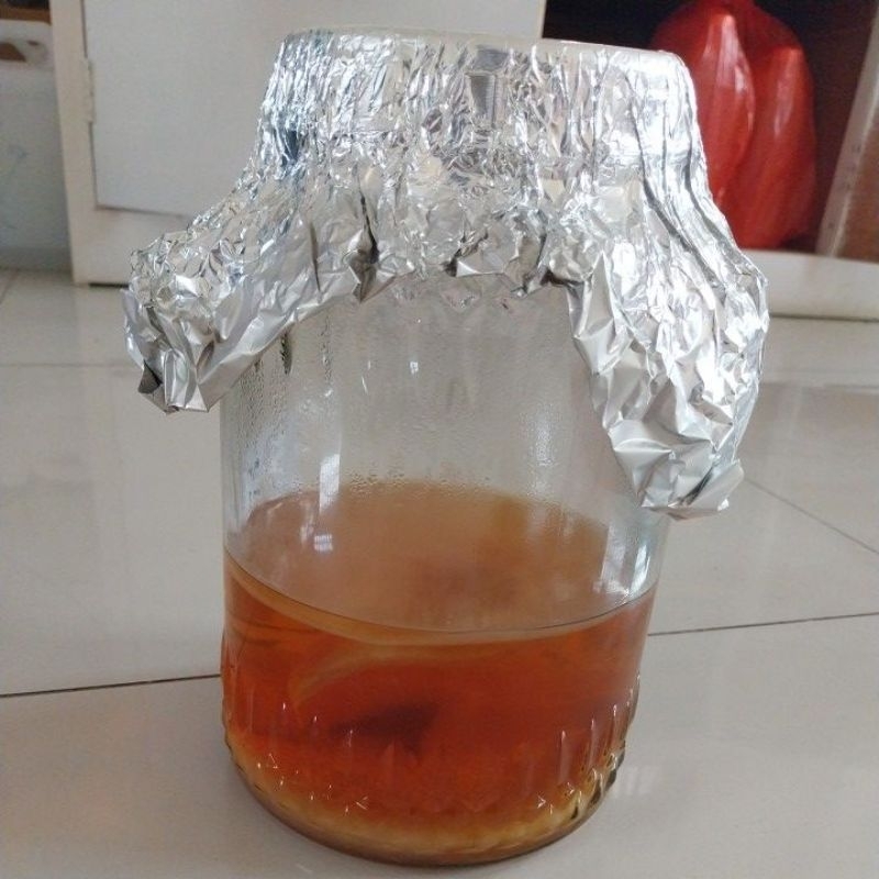 

SCOBY KOMBUCHA