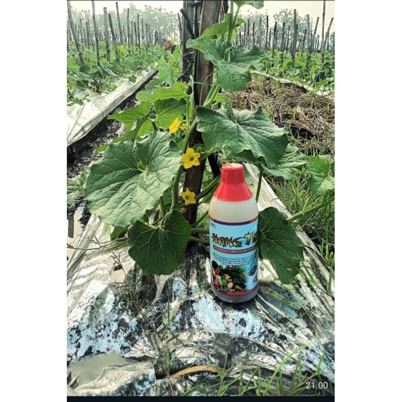 HANG TIU 500ml Pupuk Daun dan ZPT Nutrisi Tanaman