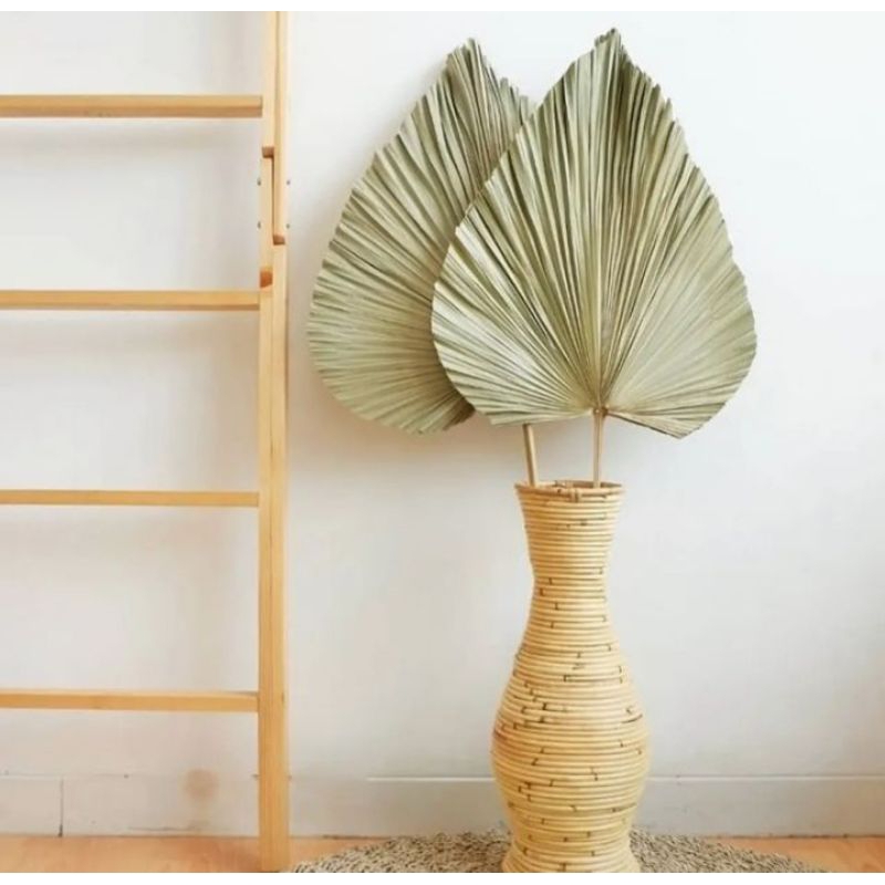 Daun Palem Kering Daun Palm Kering Daun Palem Jumbo Besar Dekorasi Warna Daun Palem Kering / Dekoras