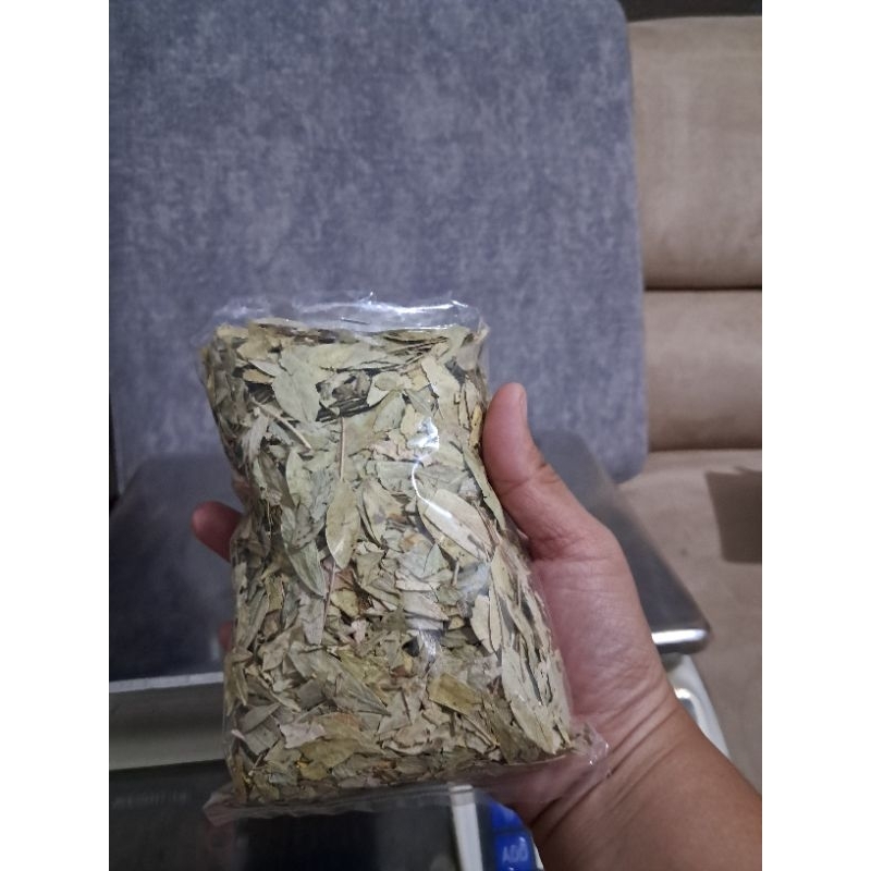 

Daun jati cina kering