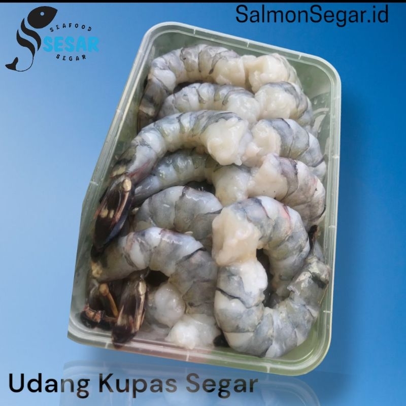 

Premium Udang Kupas Segar - Seafood Fresh Premium