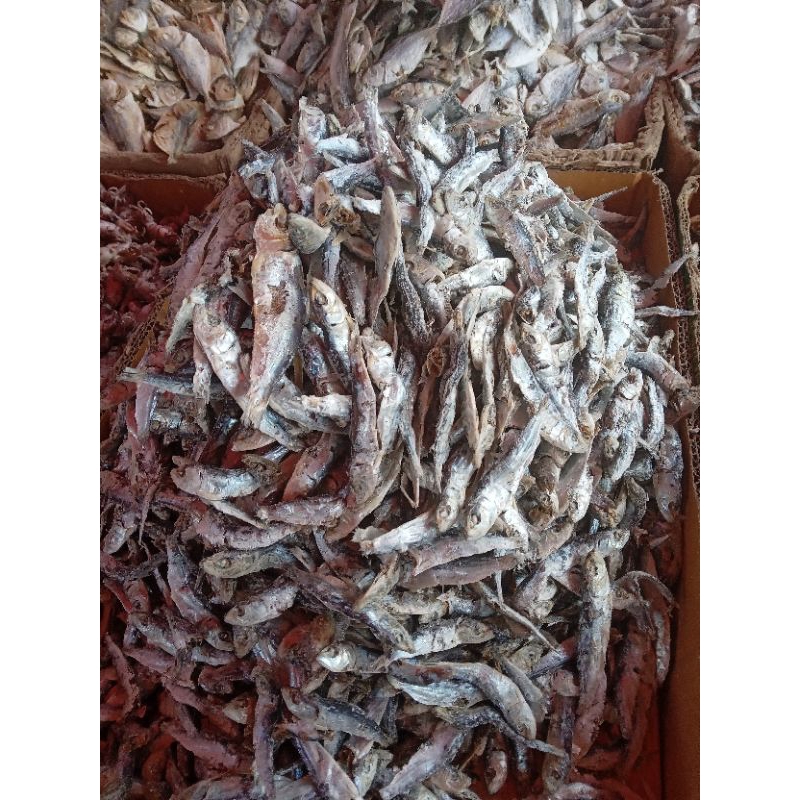 

Ikan Asin sarden kecil berat 500gr