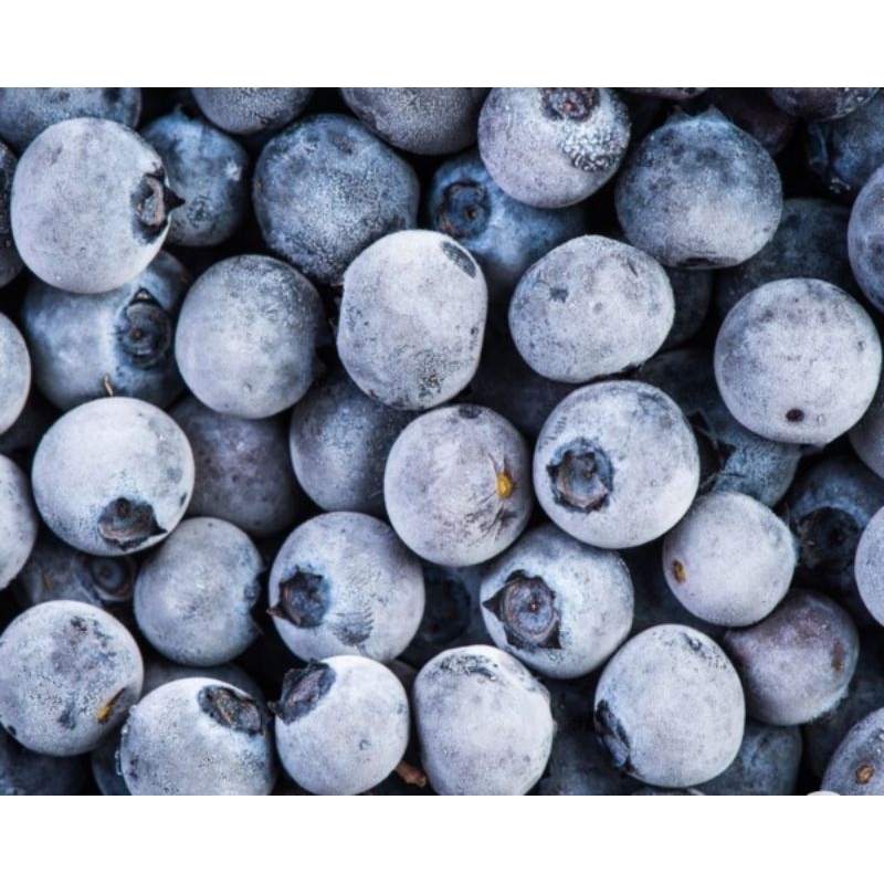 

Blueberry Frozen 1Kg / Buah Blueberry Beku 1000gr / Blueberry Beku 1.000 gr / Blueberry Siap Makan / Blueberry Siap Jus / Blueberry Beku 1Kg