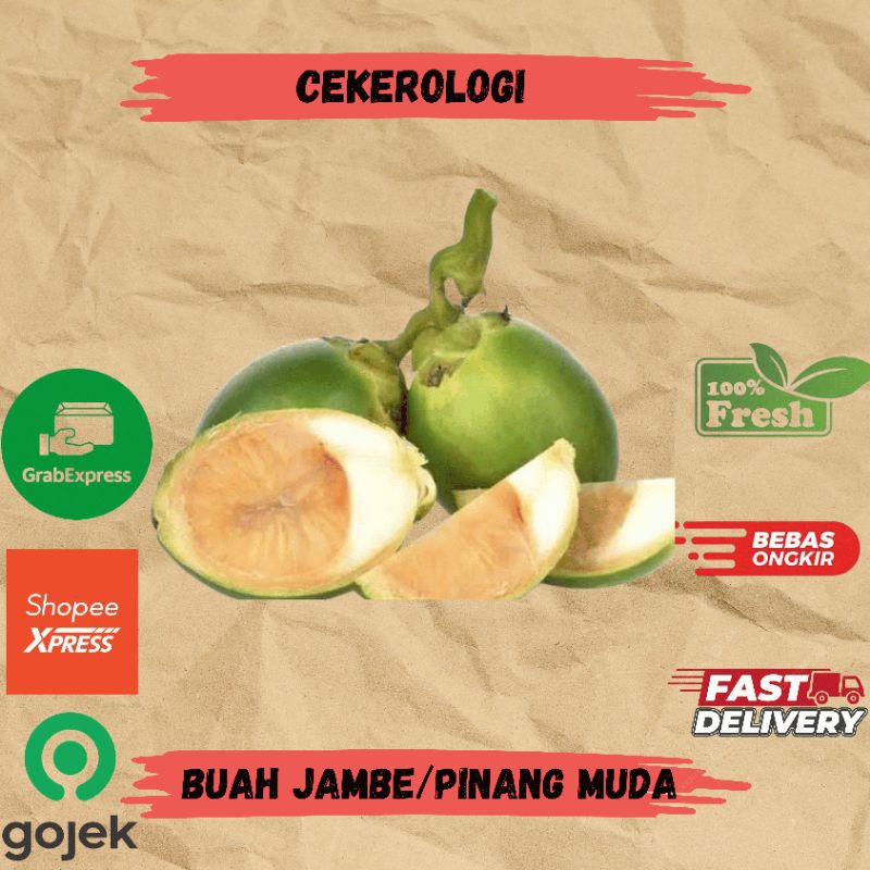 

Buah Jambe/Pinang Mudah 10buah / Buah Jambe / Buah Pinang Muda / Buah Jambe Fresh Berkualitas / JABODETABEK / Buah / Buah Buahan